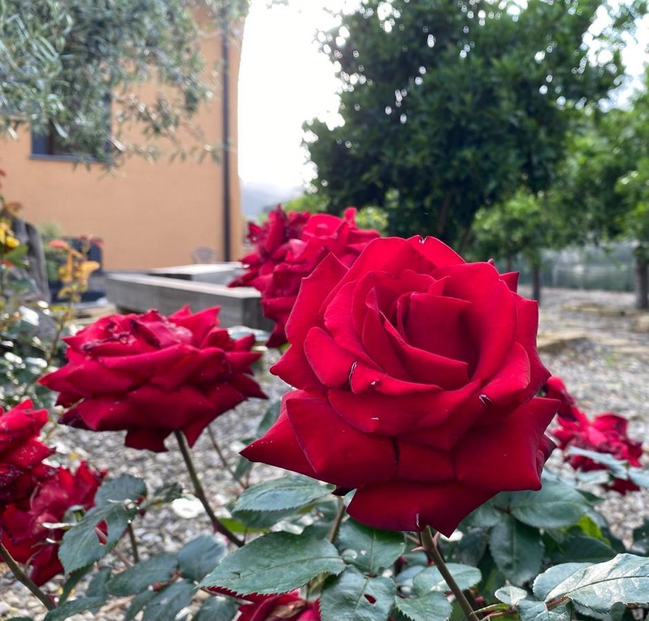 La Porta Delle Gole Hotel Motta Camastra Екстериор снимка